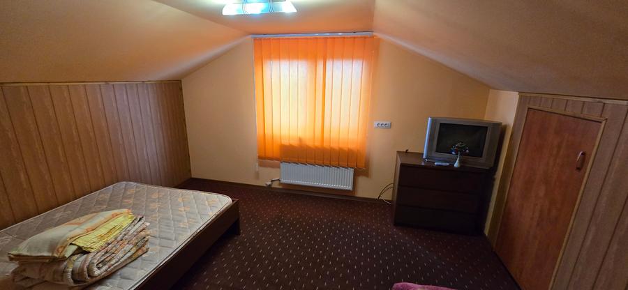 Service auto si vila de locuit Unirea Odobesti - 23