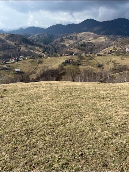 Vanzare Teren cu Punct de Belvedere in Moieciu zona Magura-Pestera - 16