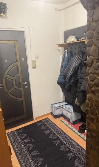 Apartament cu 2 camere, suprafata de 45 mp, langa lacul Noua - 4