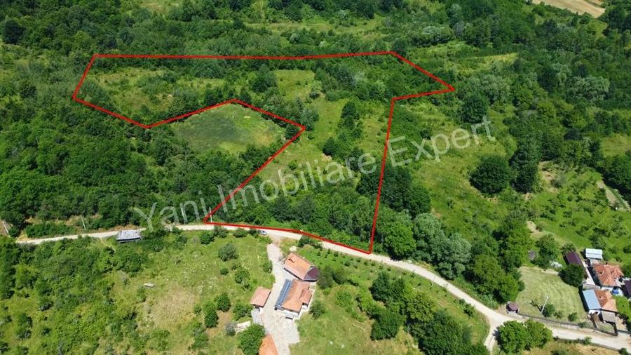 Teren de vanzare in comuna Baicule?ti, sat Valea lui Enache, jude? Arge?. - 6