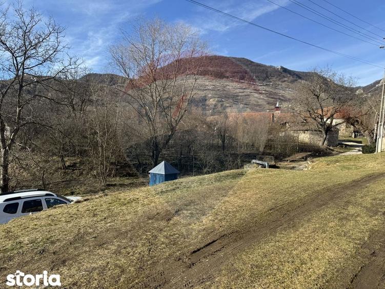 Casa din piatra la poalele Bedeleului Izvoarele, Alba - 14