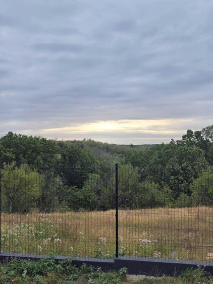 Vand 3000 mp, 1300 mp, 1200 mp si 600 mp teren intravilan, asezat intr-o zona mirifica, cu acces stradal si toate utilitatile. - 5