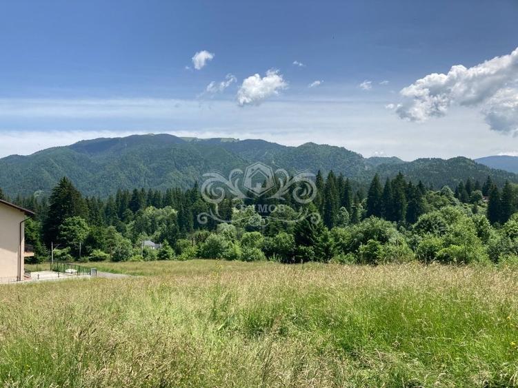 Vand teren intravilan Predeal, Timisul de Sus ideal obiective turistice - 3