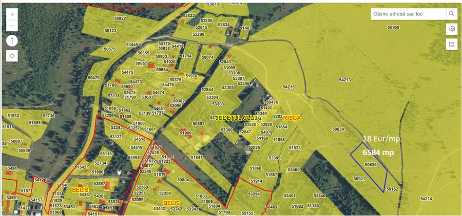 Proprietar: Vând parcele teren montan Beliș (3.000 mp - 6.500 mp) / Cadastru - 2