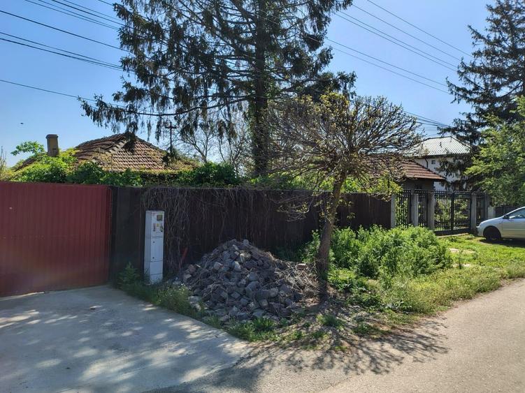 Moara Vlasiei, 320 MP, asfalt+utilitati, urbanism+avize - 35.000 EUR - 6