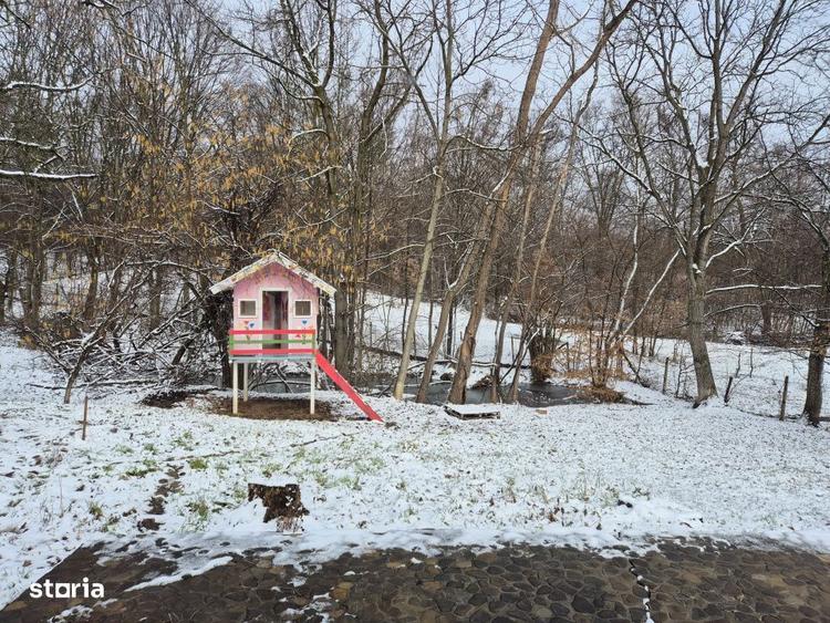 Mosia boiereasca din varf de deal, Scorteni - Prahova, comision 0% - 9