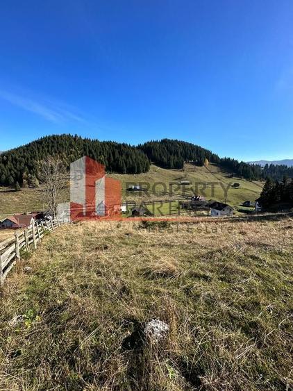 Teren Fundatica intravilan 4500 mp - 9