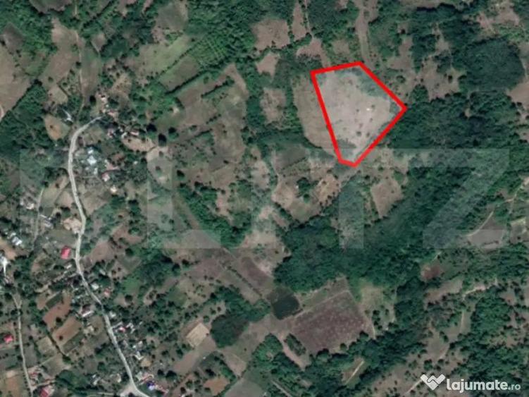 Teren extravilan 1,5ha Dobrovat Iasi - 2