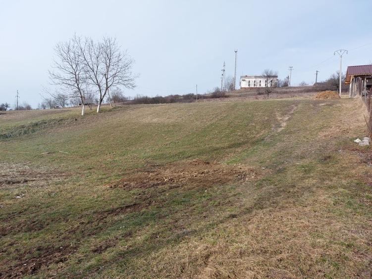 Teren intravilan in Valea Crisului - 3