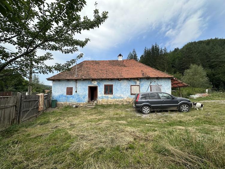 Casa traditionala la Valea Zalanului - 2