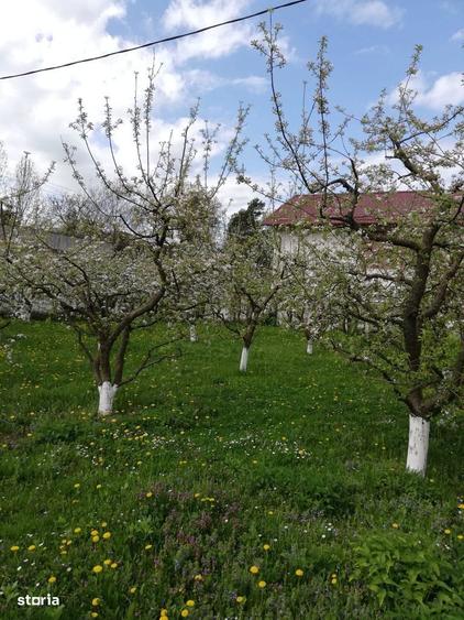 Teren 750 mp Intravilan - Slanic Prahova, vis-a-vis de Salina - 1