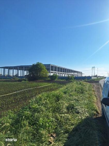 Teren Extravilan Black Sea Palazu Mare 14450 m2 - 1