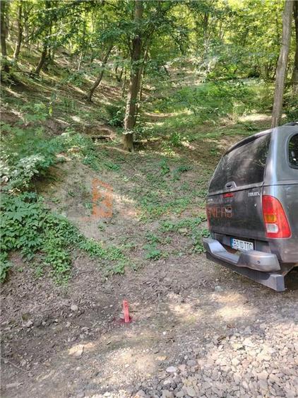 Teren intravilan zona Monteoru - 6