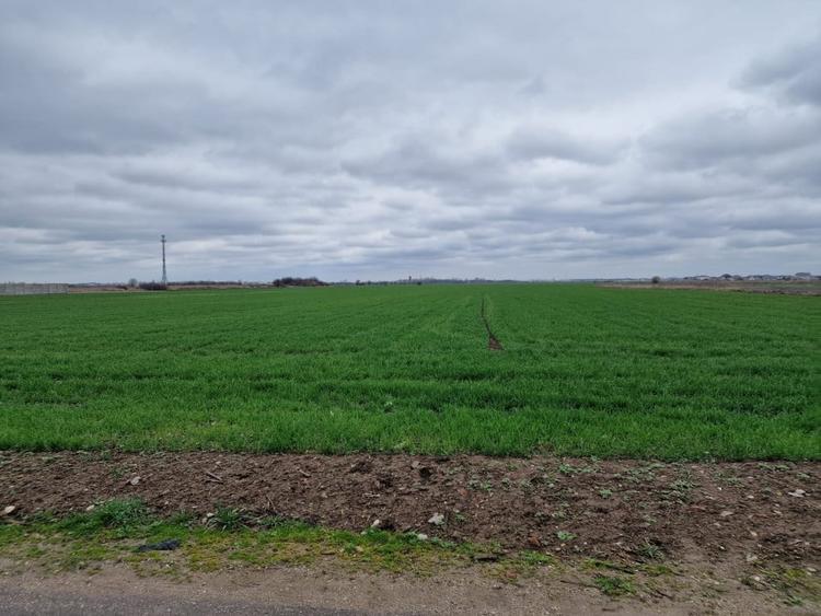 TEREN DE VANZARE DRAGOMIRESTI VALE - 3