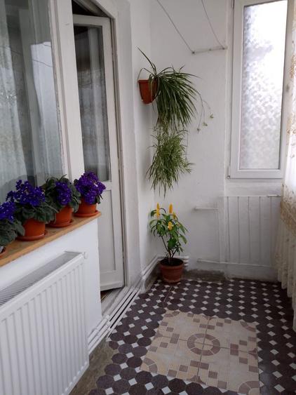 Apartament 2 camere, central, etaj 2 - 1