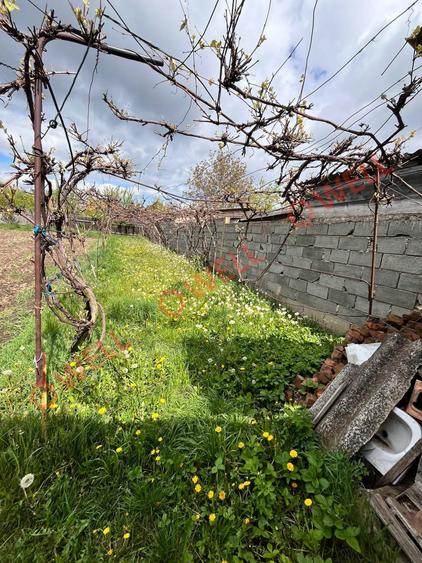 De vânzare casă familială în Tinoasa, la 4 km de Târgu Secuiesc! - 18