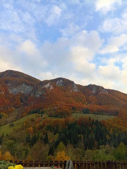 Oportunitate unica: casa de vacanta cu o priveliste de poveste, renovata, in Muntii Apuseni - 6