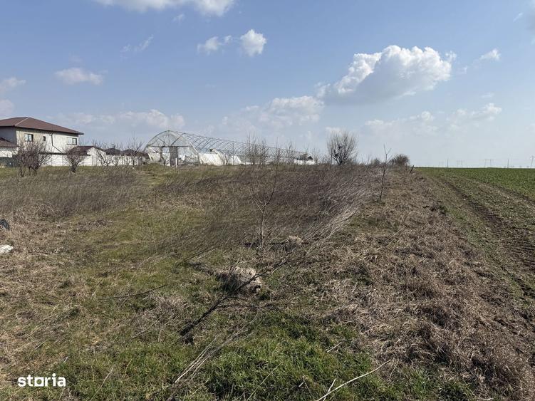 Teren intravilan Frumu?ani, zona Pasarea | Deschidere 22,5 m - 7