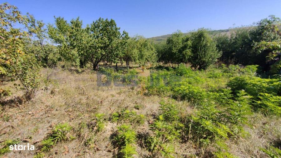 Casa langa PADURE + anexe + 6400 mp TEREN intravilan - sat HARPA?E - 9