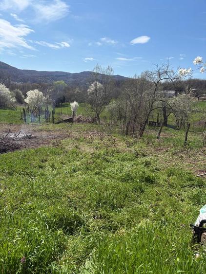 Teren Intravilan Pausesti-Maglasi, jud. Valcea - 4