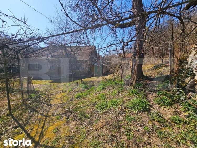 Casa 4 camere, teren generos de 3.800 mp, Magina, comuna Aiud - 4