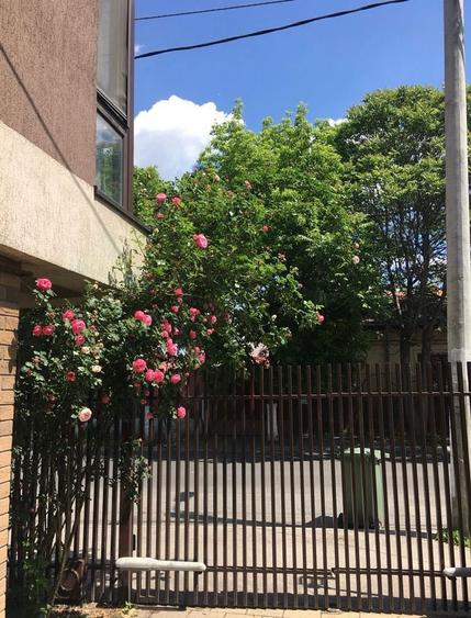 Vand vila P+4, 2011, 430 mp, curte 80 mp, zona One Cotroceni Park - 5