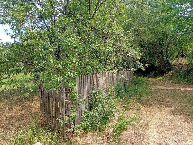 Vand Teren Radesti Stalpeni - 3