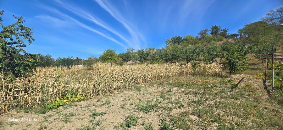 Teren intravilan in Manolesti Deal - 2