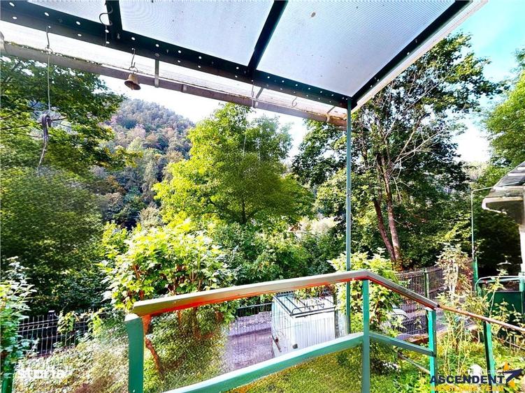 3D! Casa autentica,5.025 mp teren,in spectacolul montan al Cetatii Med - 13