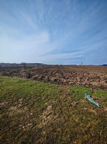 Teren de Vanzare Industrial Caciulati A3 - 8