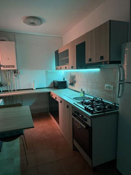 Apartament cu 1 camera in zona Sagului - 7