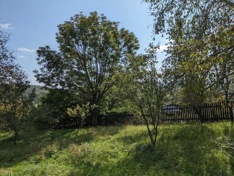 Proprietar - Vand casa cu 4873 m2 teren intravilan - 7