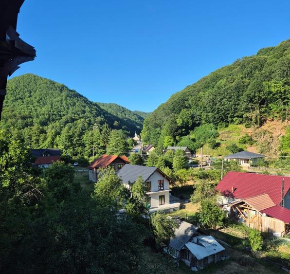 Ilba, casa caramida, 40 ari teren - 3