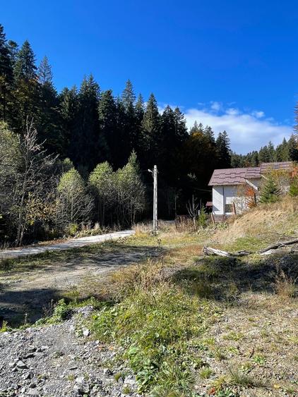 Teren intravilan Predeal - 2