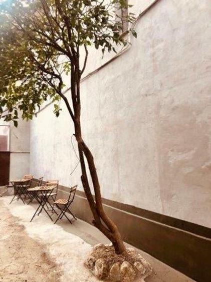 Proprietate cu 3 apartamente, rezidential/ comercial, locuri parcare - 7