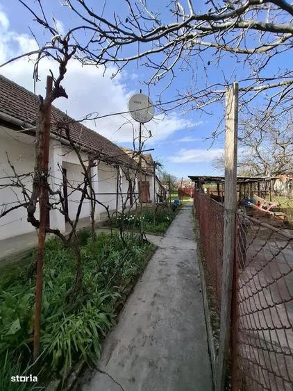 Sanandrei - Casa 3 Camere - Teren Generos - 3