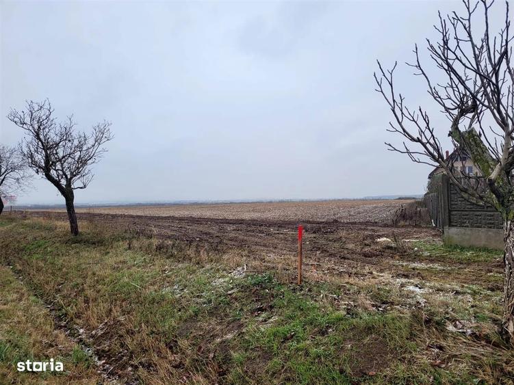 Teren intravilan,Calea Aradului,zona aeroport, Oradea - 3