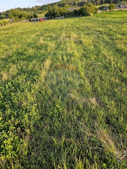 Teren 1,495mp Dobreni / Strada Parau Almas - 32