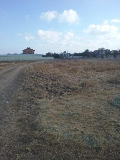 Exclusiv! Teren intravilan 6.100 mp - Cumpana - 29 euro/mp  (Cod E3) - 7