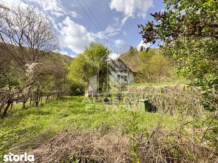 Casa batraneasca cu 2 camere, vedere panoramica, in Toplita, Hunedoara - 12