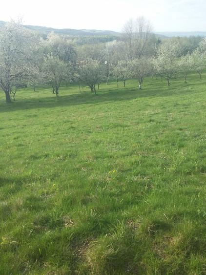 Vand casa in Sinteu - 1