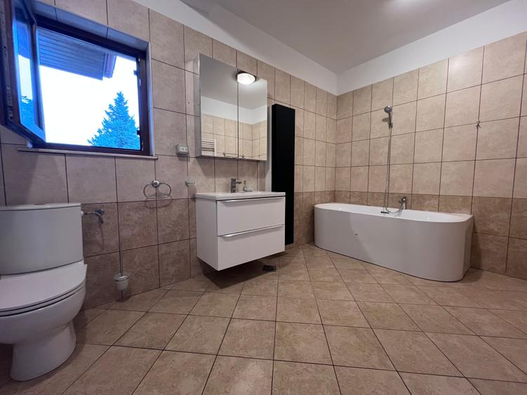 Inchiriere Vila individuala Iancu Nicolae - 40