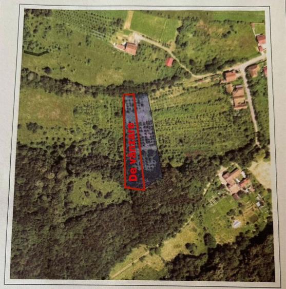 Teren intravilan Valea Cenchi constructii case pensiune caransebes - 3
