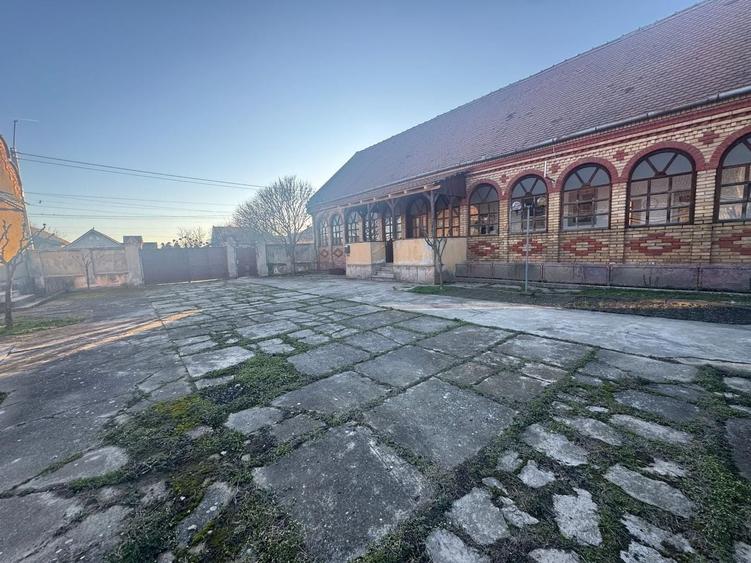 De vanzare proprietate in Belint, jud. Timis – 2 case si teren 7.805 mp - 4