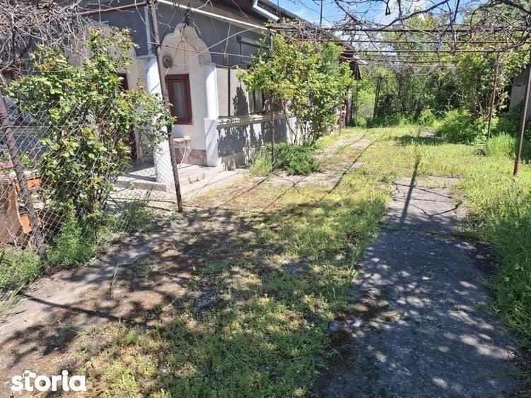 Teren intravilan 2312mp+ casa Vidra Sintesti - 4