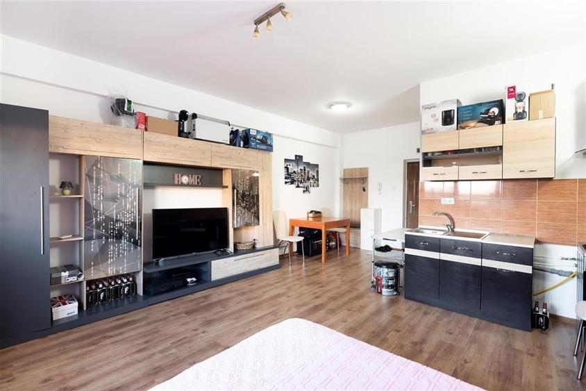 RECO APARTAMENT CU O CAMERA IN PALEU - 1