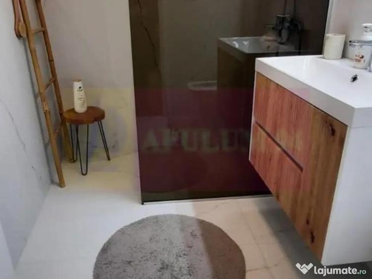 Inchiriere apartament 2 camere Unirii-Sfanta Vineri,prima... - 9