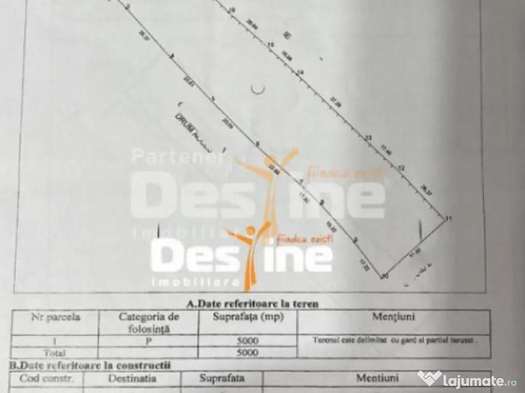 SARU DORNEI, 5000 MP, EXTRAVILAN - 3