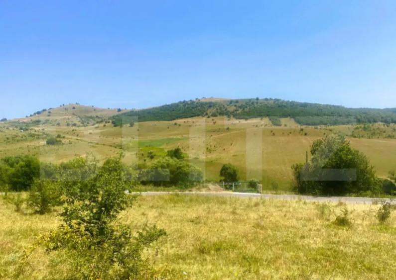 Teren construibil, 1100 mp, cu certificat de urbanism, Salic - 2