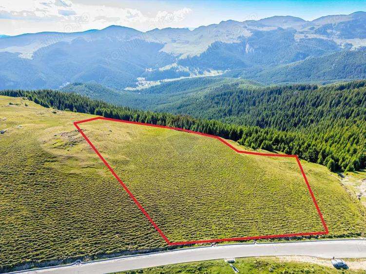 Teren intravilan Transbucegi / Oportunitate de dezvoltare Transbucegi - 2